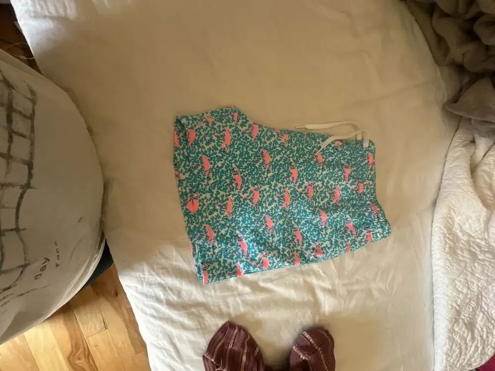 Chubbies Men's Flamingo Print Stretch Swim Trunks